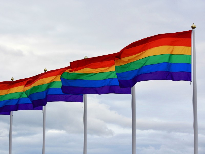 Rainbow flags in the wind: 