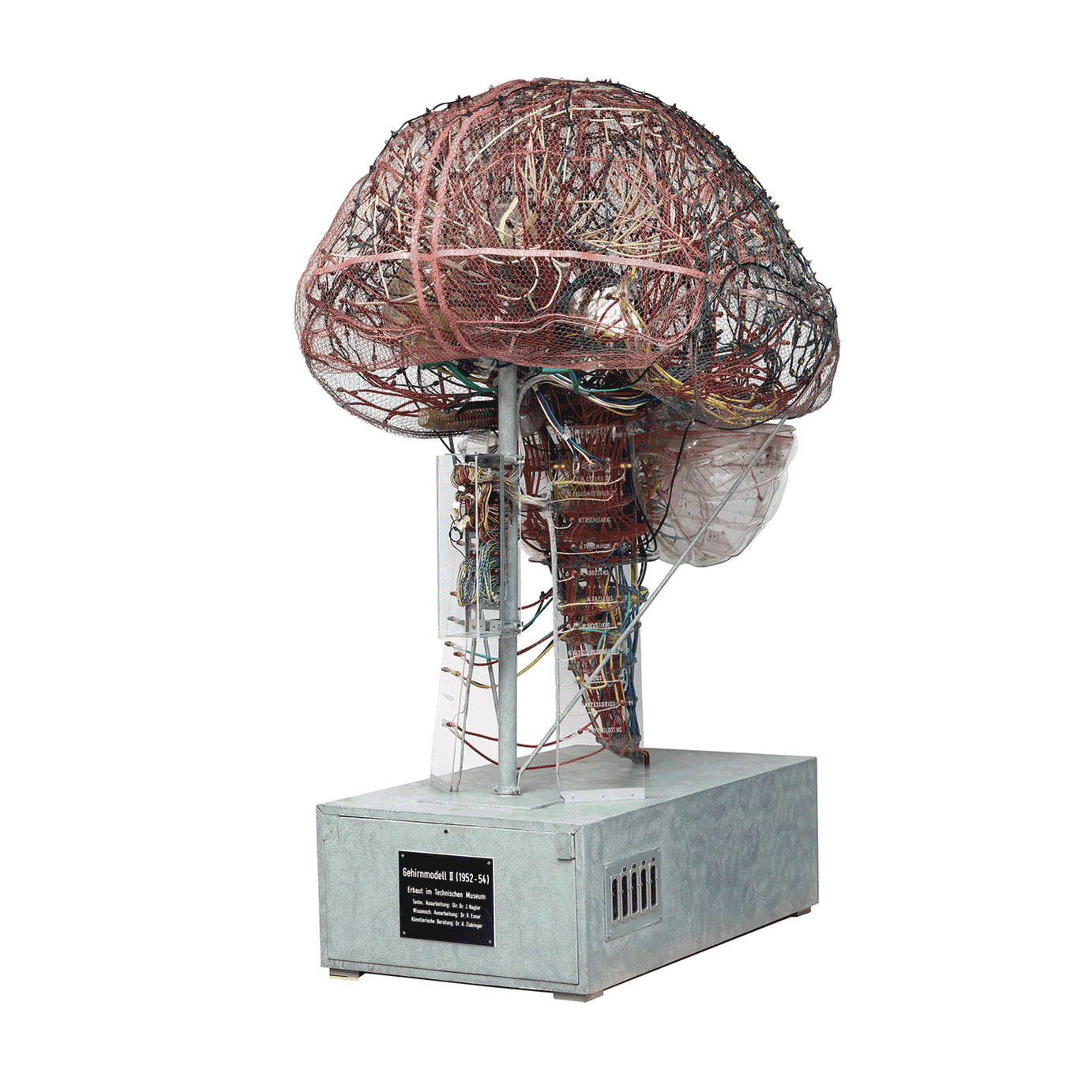 Animation des Objekts „Gläsernes Gehirn“ – ein transparentes Modell eines menschlichen Gehirns aus bunten Glasfasern, das in wechselnden Farben dargestellt wird.