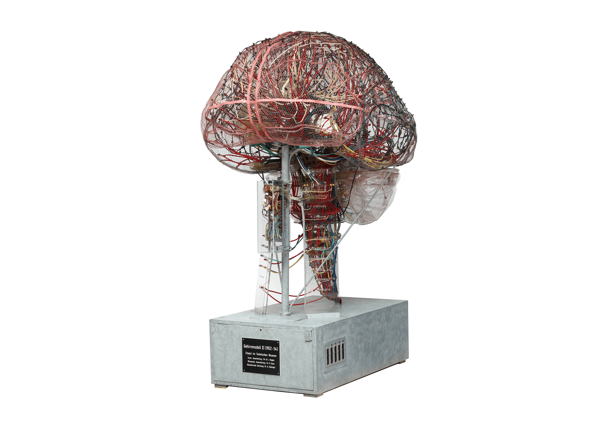 Animation des Objekts „Gläsernes Gehirn“ – ein transparentes Modell eines menschlichen Gehirns aus bunten Glasfasern, das in wechselnden Farben dargestellt wird.