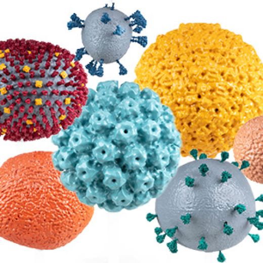 Die Erkundung des Unsichtbaren