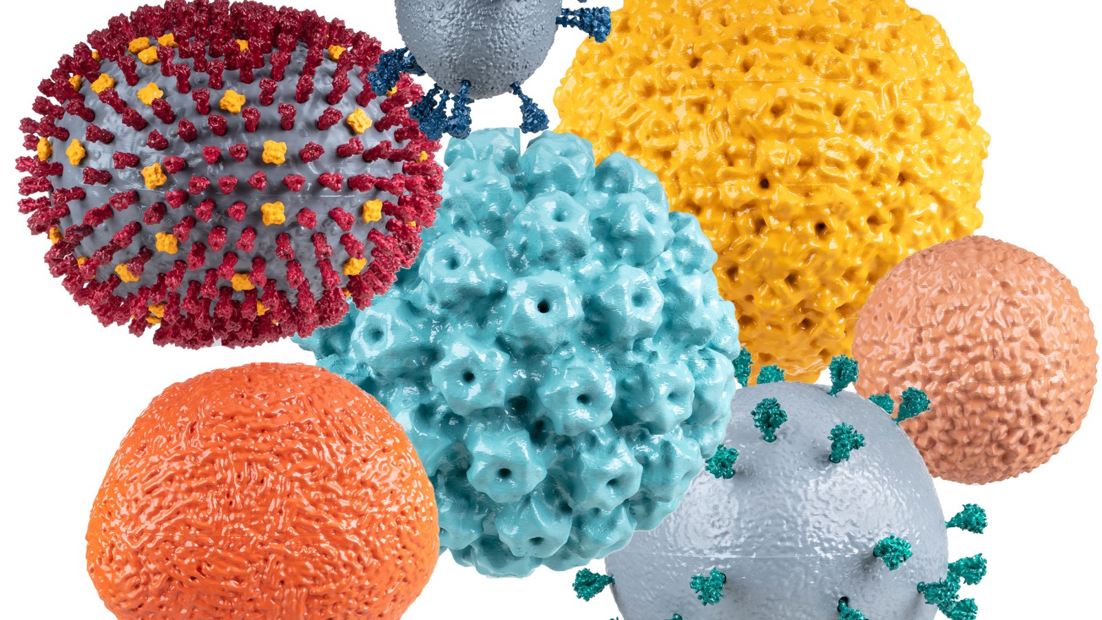 Modelle unterschiedlicher Viren: