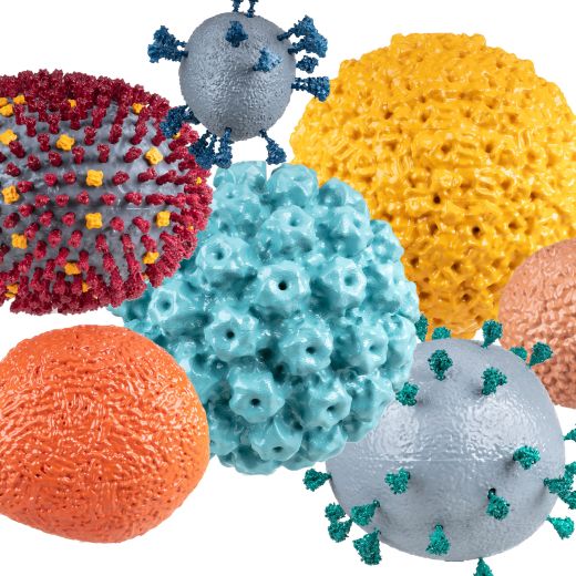 Die Erkundung des Unsichtbaren