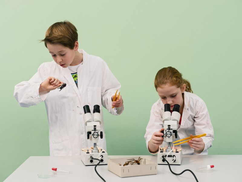 EIn Kind im Laborkittel beschäftigt sich im Rahmen des Workshops "Bionic" mit den verschiedenen Oberflächen. Ein anderes Kind beobachtet durch ein Mikroskop mehrere Dinge. : 