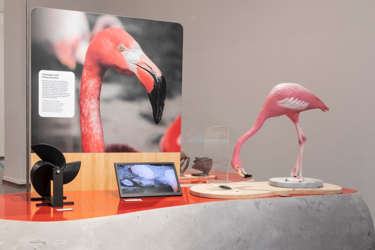 Vielversprechende Entwicklungen wie eine Turbine, die die Form des Flamingoschnabels imitiert