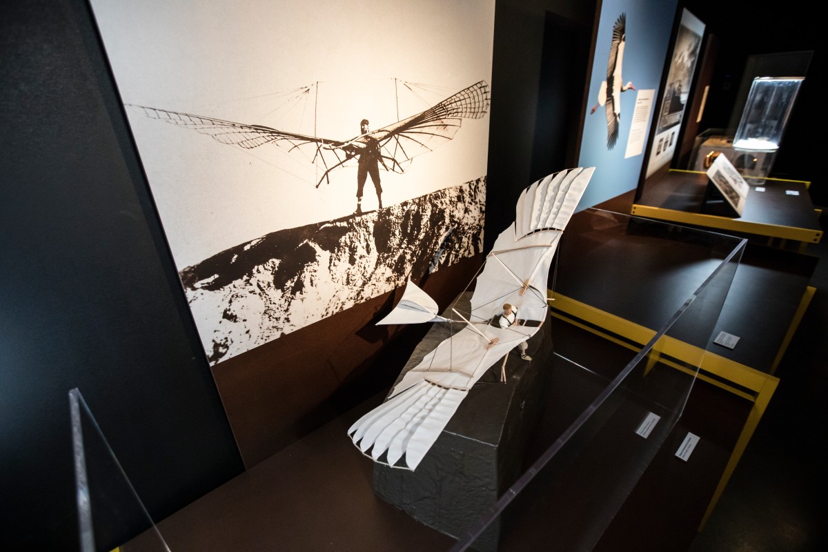 Otto Lilienthal konstruierte seine Flugmaschine nach dem Vorbild von Vögeln