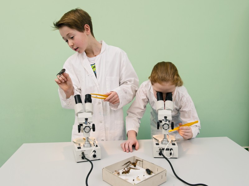 EIn Kind im Laborkittel beschäftigt sich im Rahmen des Workshops "Bionic" mit den verschiedenen Oberflächen. Ein anderes Kind beobachtet durch ein Mikroskop mehrere Dinge. 