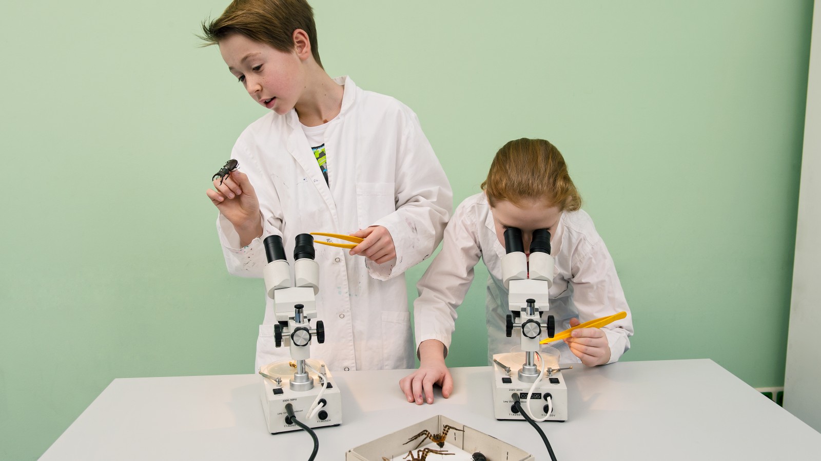 EIn Kind im Laborkittel beschäftigt sich im Rahmen des Workshops "Bionic" mit den verschiedenen Oberflächen. Ein anderes Kind beobachtet durch ein Mikroskop mehrere Dinge. : 