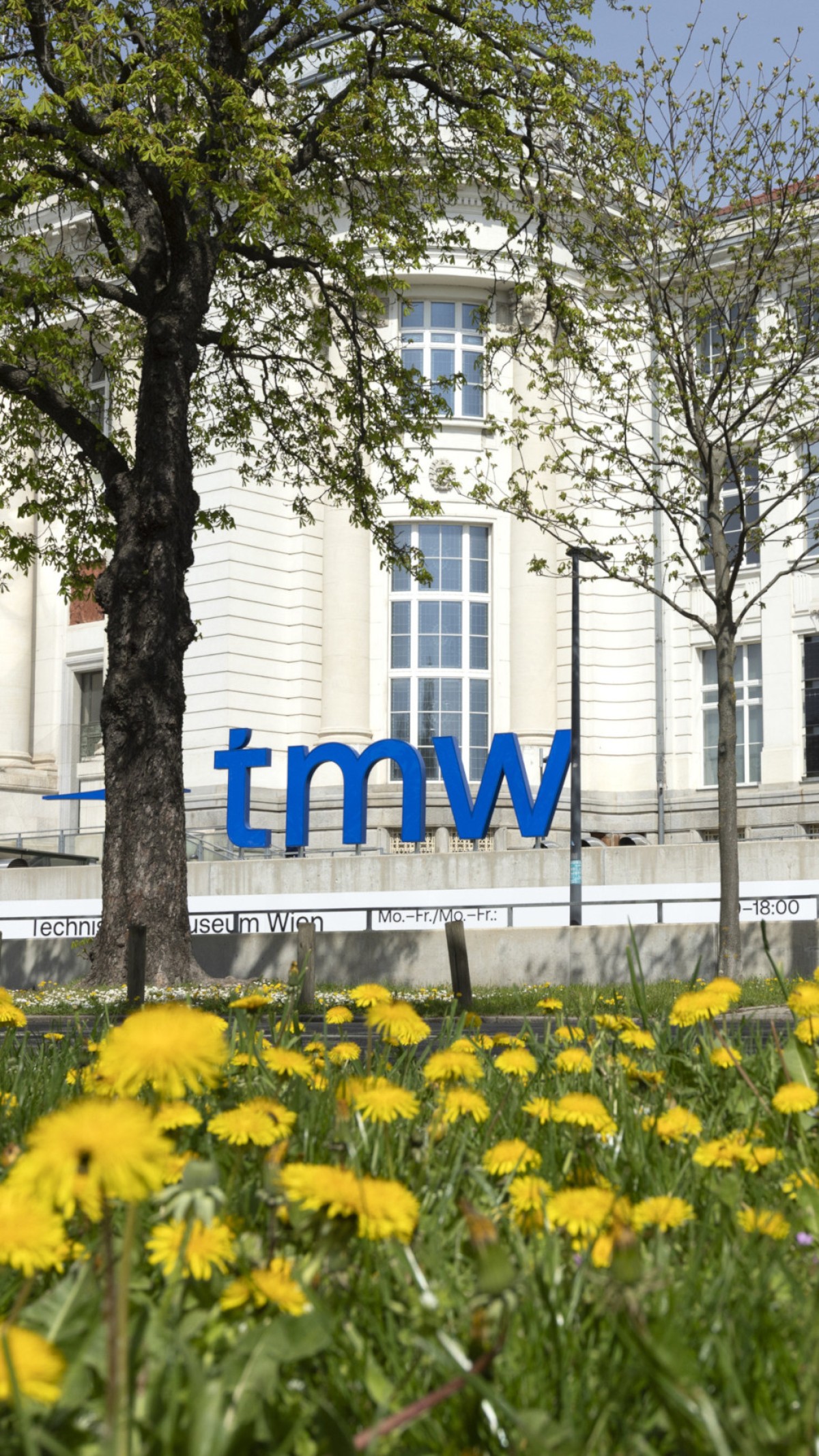 Nahaufnahme einer Wiese mit blühendem Löwenzahn im Vordergrund. Dahinter ist das große, blaue Logo „tmw“ des Technischen Museums Wien vor der hellen, klassizistischen Fassade des Museumsgebäudes zu sehen. Ein großer Laubbaum rahmt die linke Bildseite ein.: Nachhaltigkeit ist ein ...