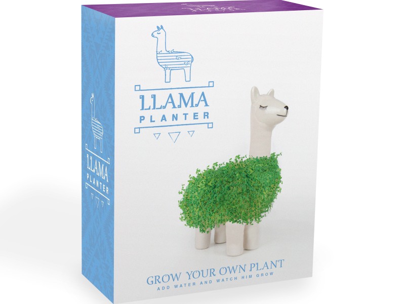Lama mit Chia Samen Grow your own plant: 