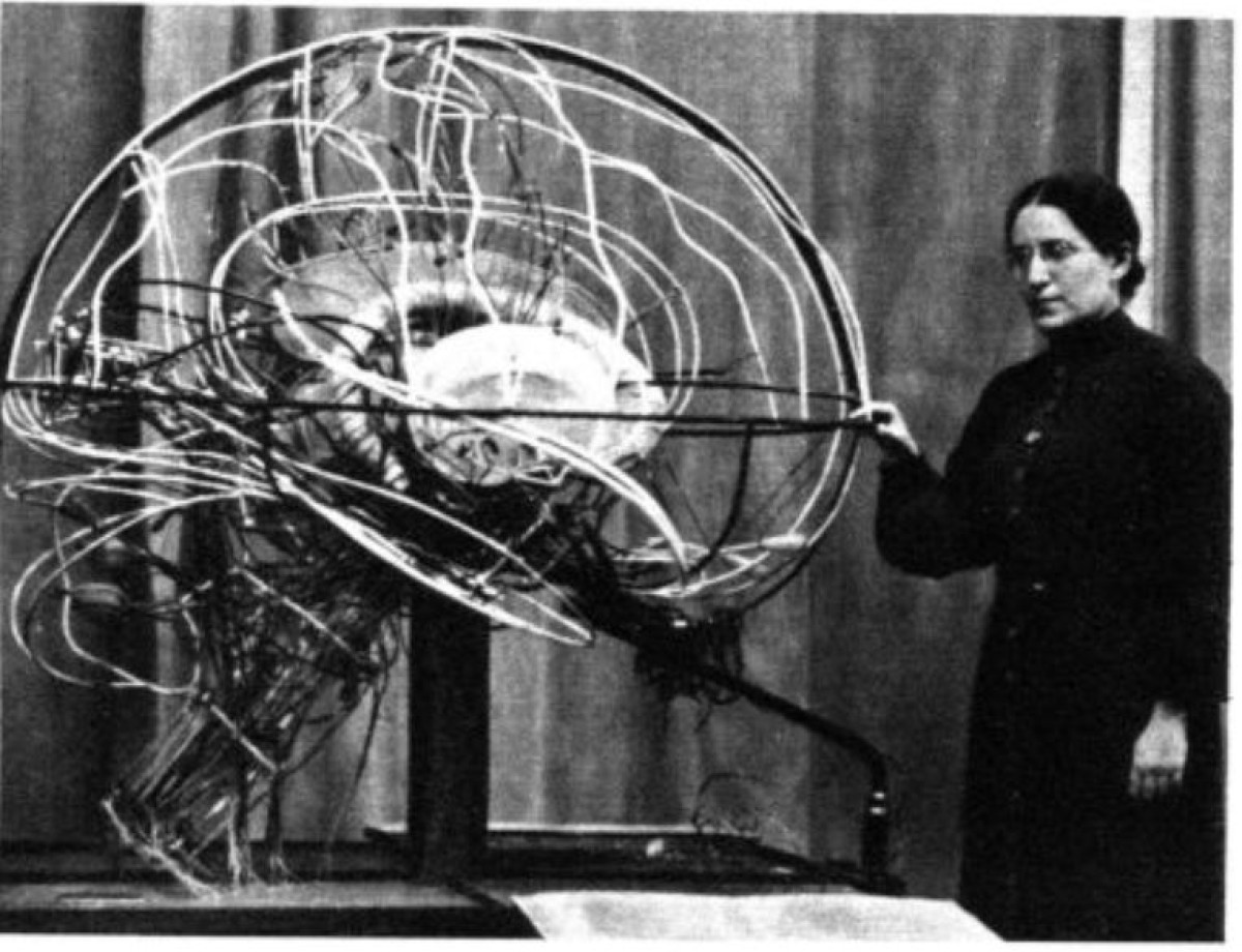 Edith Klemperer mit dem Gehirnmodell 1: Edith Klemperer mit dem Gehirnmodell 1