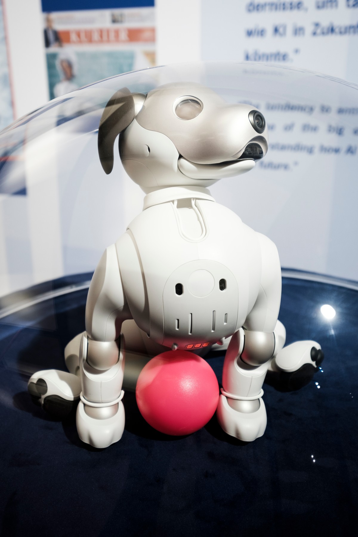 Spielzeugroboter „Aibo“, 2020