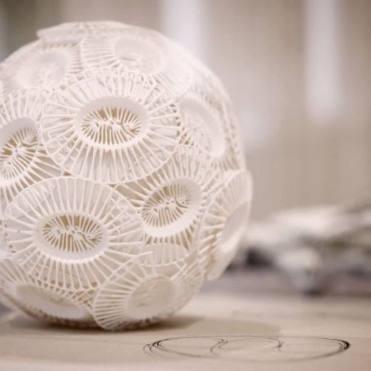 Biomimicry – Nature as a source of inspiration