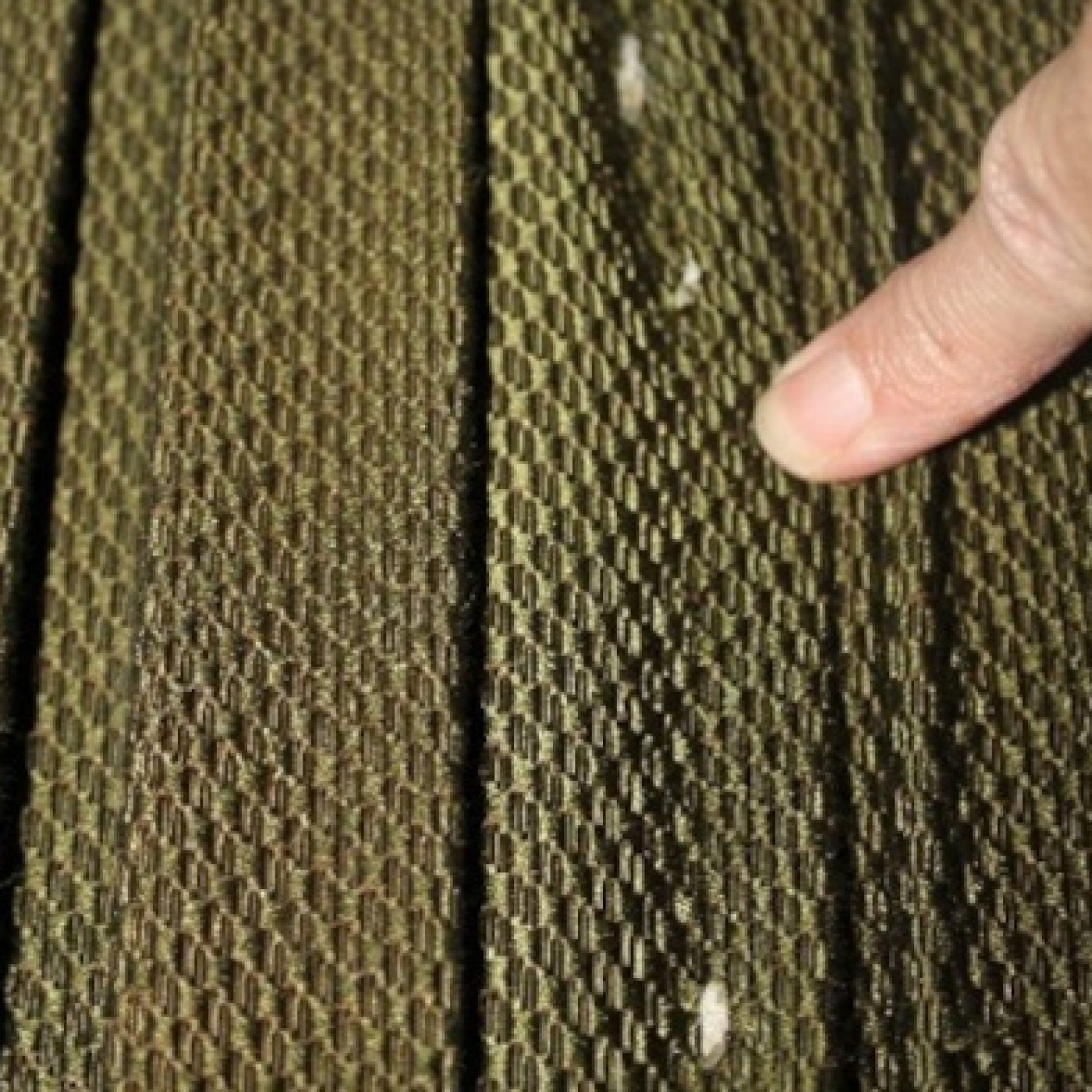 Mottenkokons in den Falten der textilen Wandbespannung des Hofsalonwagens: Mottenkokons in den Falten der textilen Wandbespannung des Hofsalonwagens