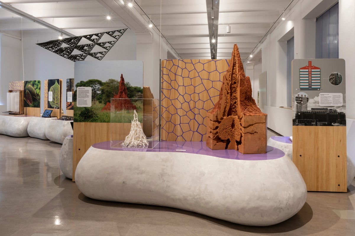 Modell eines Termitenbaus zeigt das ausgeklügelte Belüftungssystem, das auch nachhaltige Architektur inspiriert