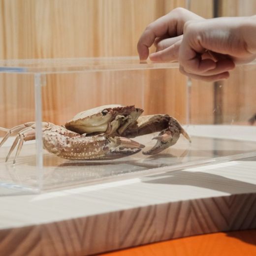 Biomimetic research lab