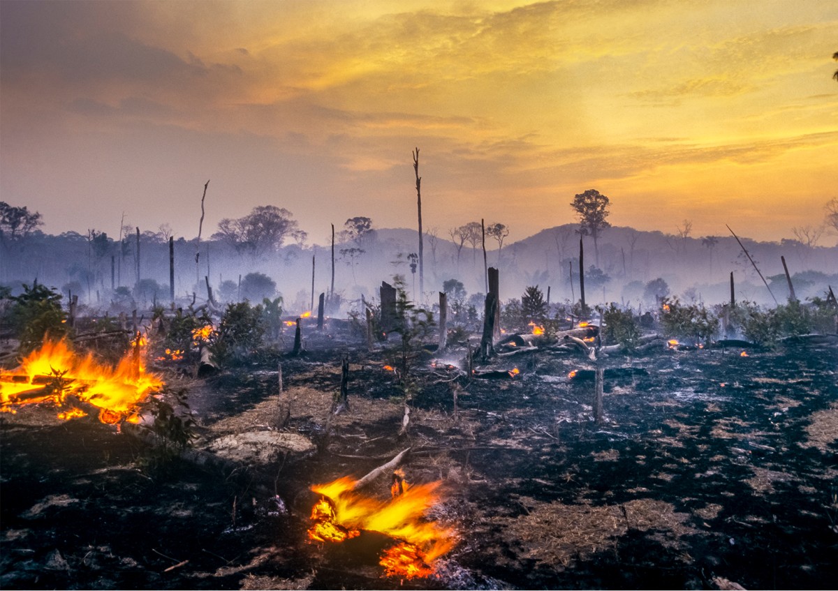 Durch den Klimawandel kommt es zu Extremwetterereignissen: Der Mangel an Niederschlag kann nicht nur zu Ernteausfällen führen, sondern auch zu Waldbränden. Gleichzeitig jedoch haben auch extreme Niederschläge zugenommen. Ein Trend, der auch für die Zukunft prognostiziert wird: Durch den Klimawandel kommt es zu Extremwetterereignissen: Der Mangel an Niederschlag kann nicht nur zu Ernteausfällen führen, sondern auch zu Waldbränden. Gleichzeitig jedoch haben auch extreme Niederschläge zugenommen. Ein Trend, der auch für die Zukunft prognostiziert wird