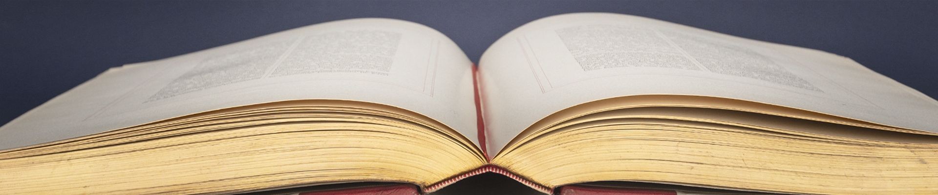 Horizontal view of an open book: 