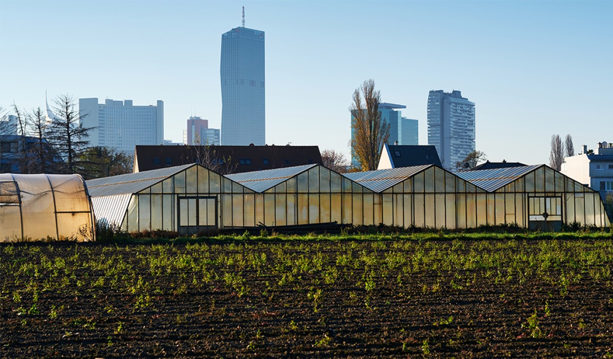 Landwirtschaft in der Donaustadt: Landwirtschaft in der Donaustadt