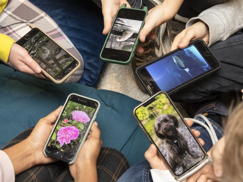 Young people sit in a circle and hold their smartphones in the middle