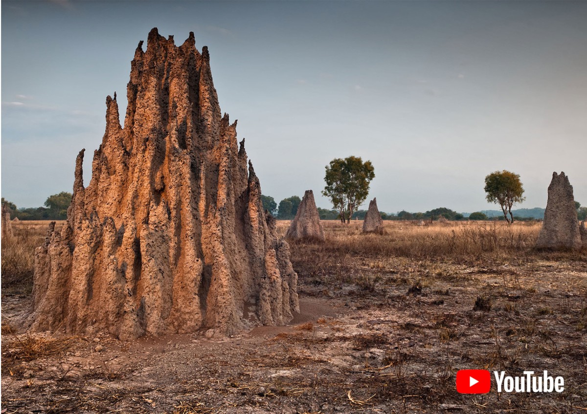 Bionische Architektur: Termitenhügel: Bionische Architektur: Termitenhügel