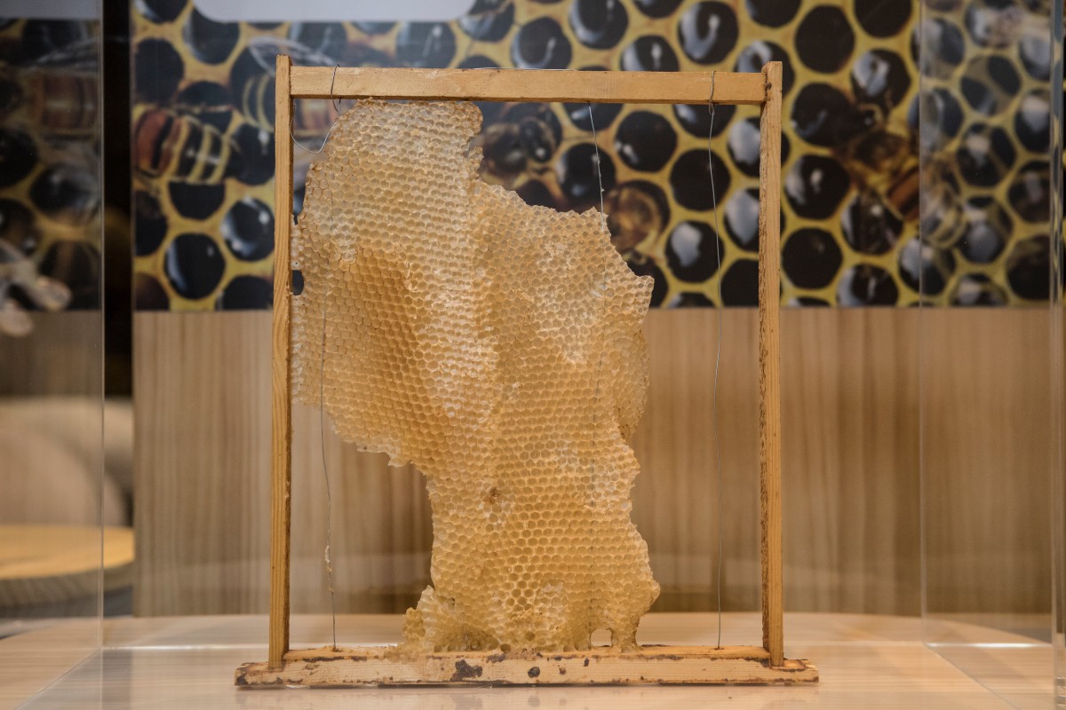 Bienenwaben zeigen, wie effizient die sechs¬eckige Form ist, weshalb sie auch in der Raumfahrt häufig zum Einsatz kommt