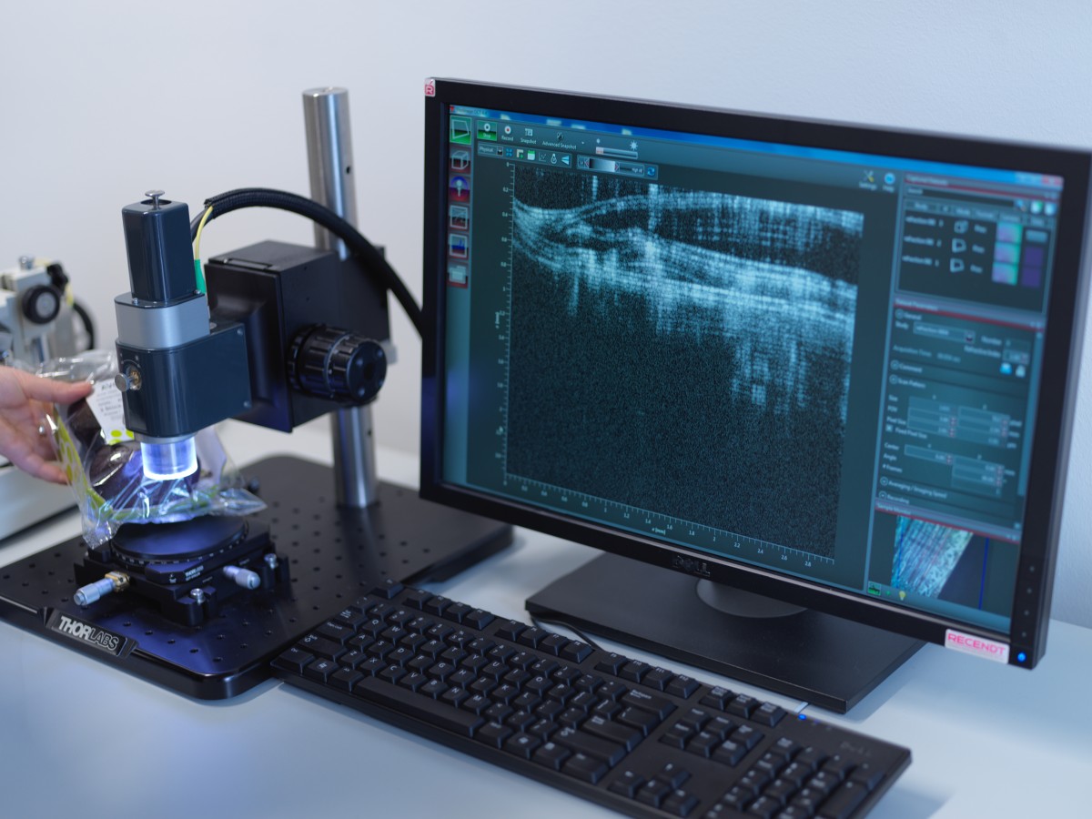 OCT (Optical Coherence Tomography)