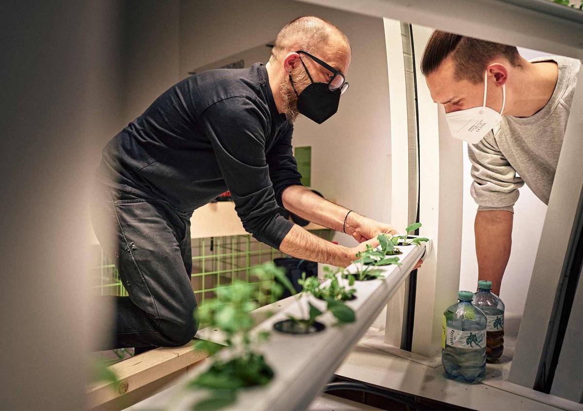 Daniel Podmirseg bei der Bepflanzung der Vertikalen Farm im Technischen Museum Wien: Daniel Podmirseg bei der Bepflanzung der Vertikalen Farm im Technischen Museum Wien