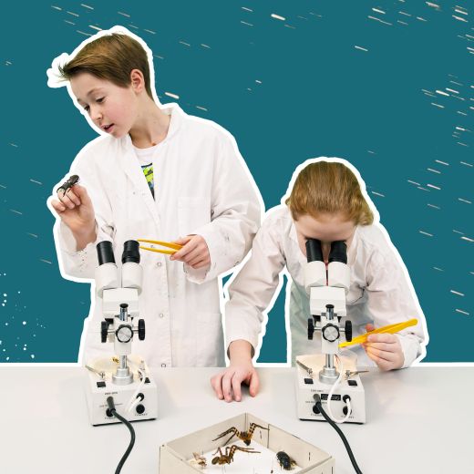 Das verrückte Labor