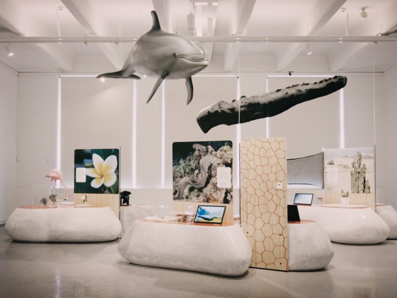 Insight into the exhibition hall of the exhibition BioInspiration