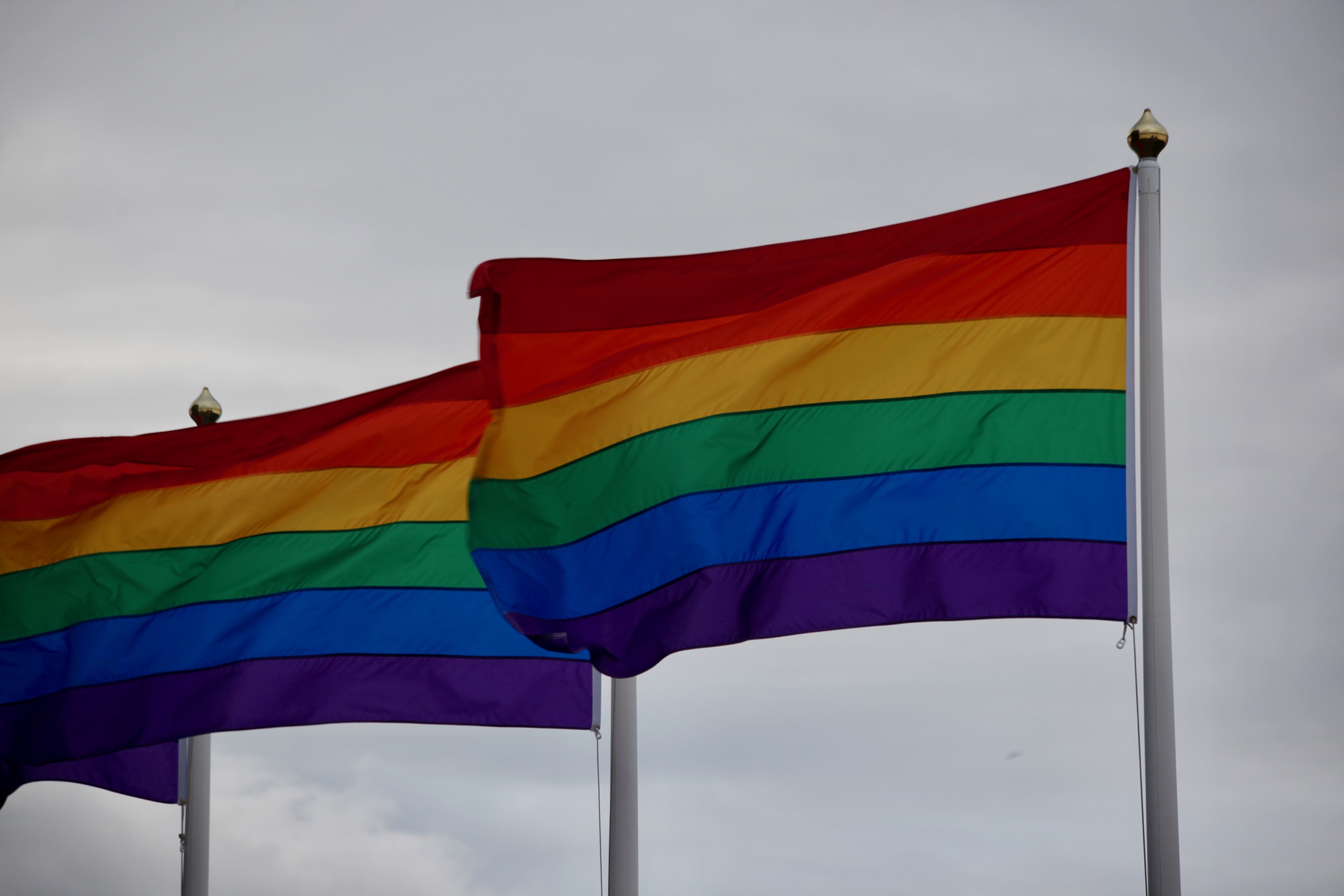 Focus Gender: Rainbow-Flag