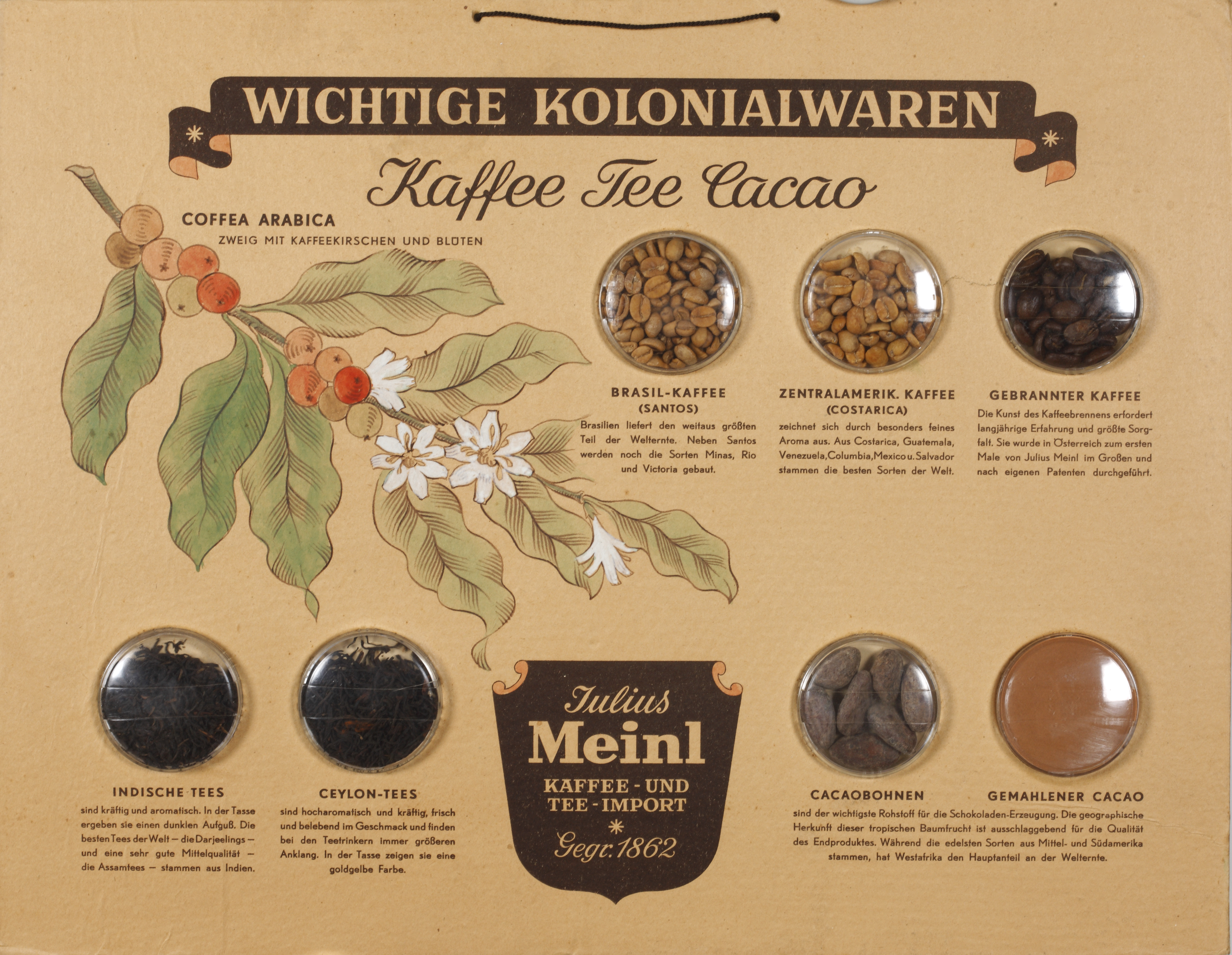 Mustertafel Fa. Julius Meinl mit Kaffee-, Tee- und Kakao-Sorten, um 1950 